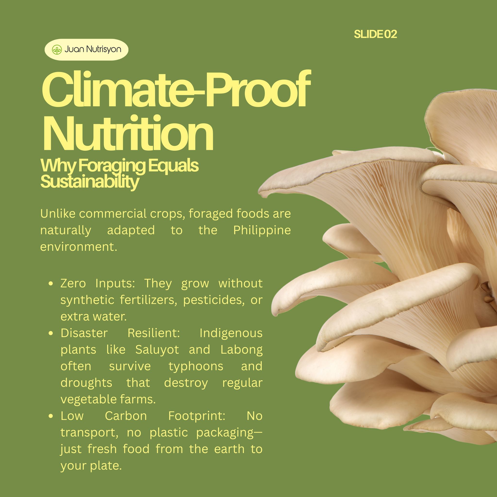 Detailed shot of a foraged plant