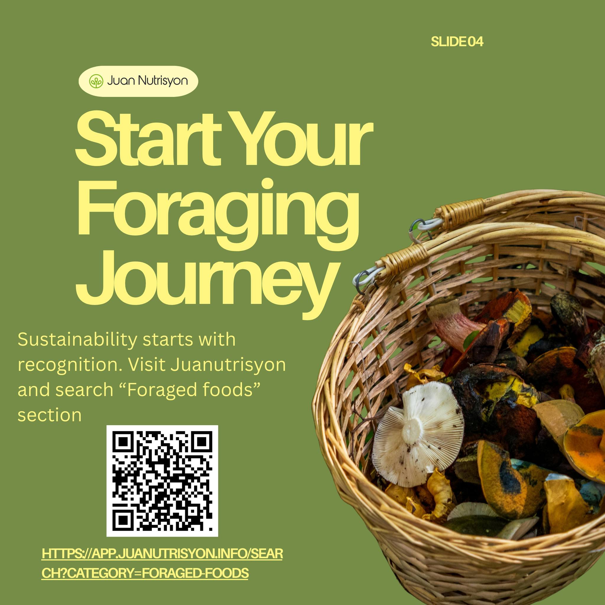 Harvested basket and foraging process
